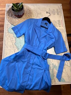 Icone Par Simons Organic Cotton Blue Shift Dress
